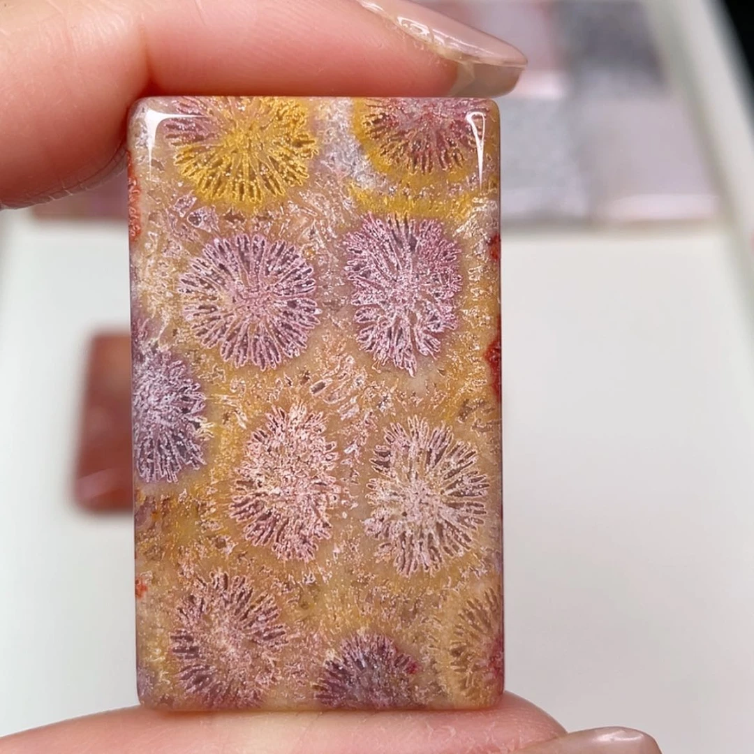 【闪购商品】未镶嵌吊坠(赠链)硅化玉