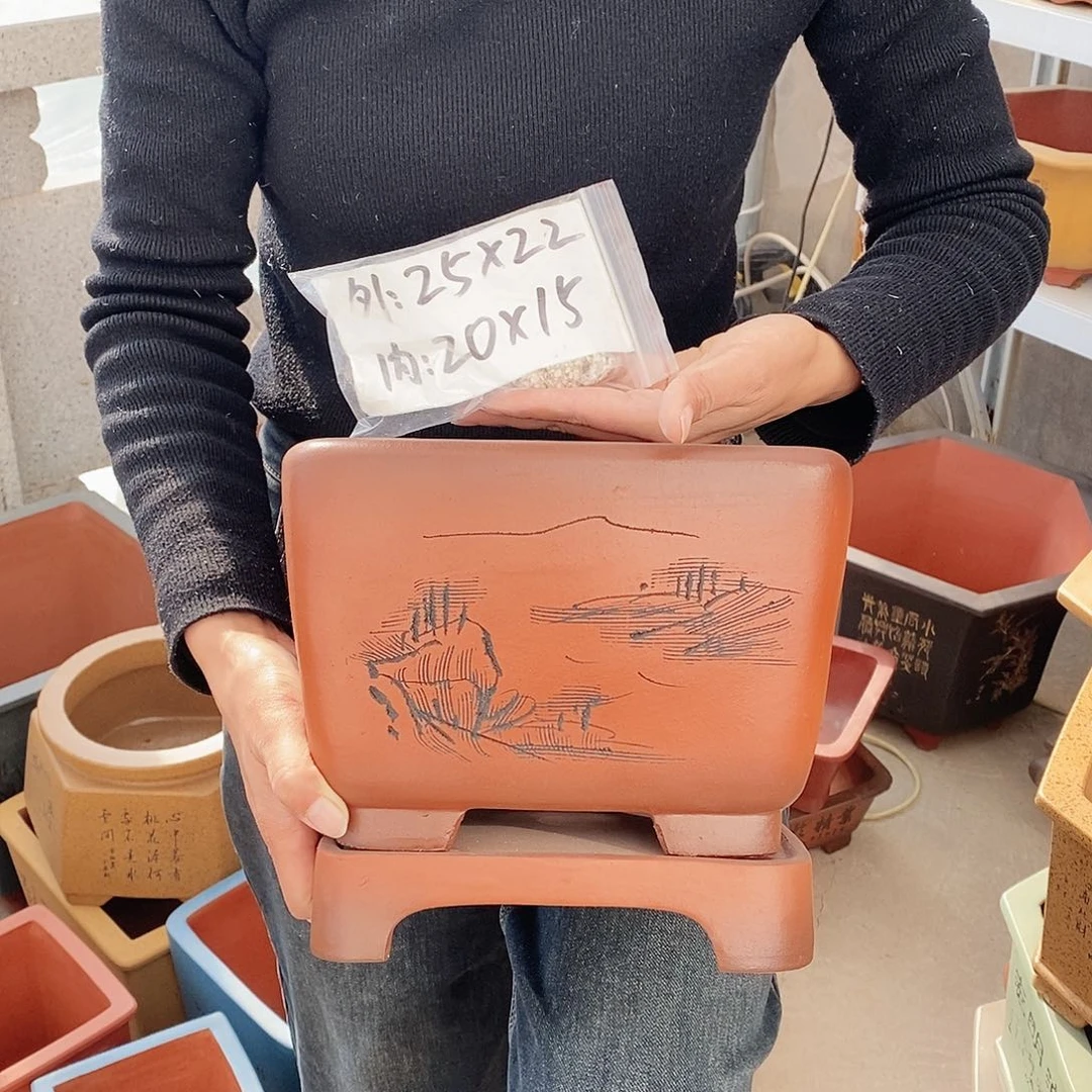 紫砂花盆紫砂花盆