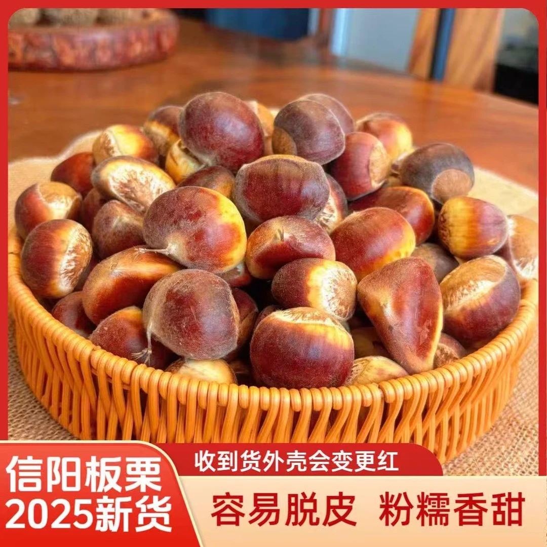 新鲜正宗无油板栗香甜饱满生板栗大别山