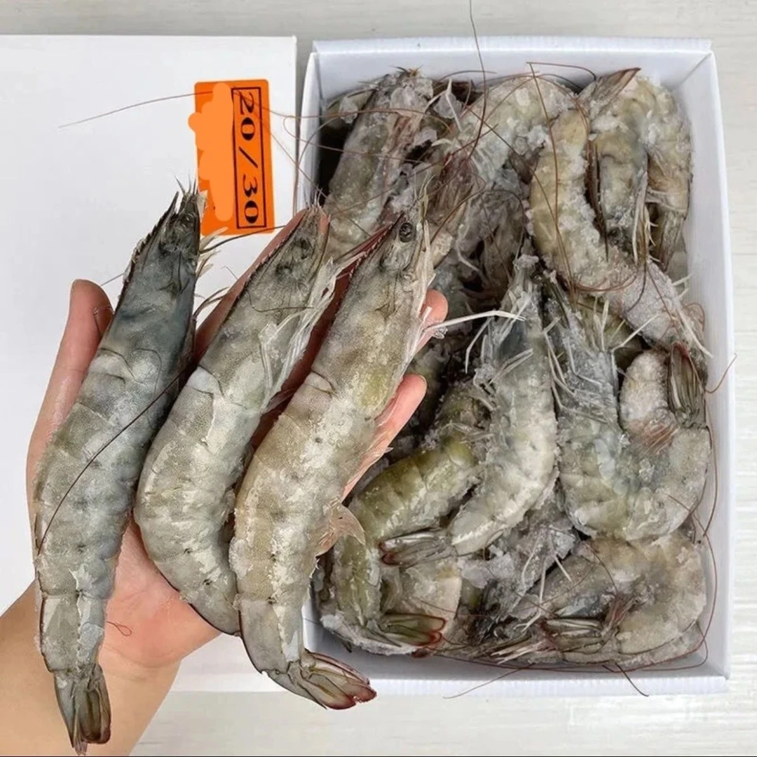【平平老师专属】20-30斤大虾3斤盐冻只只分离