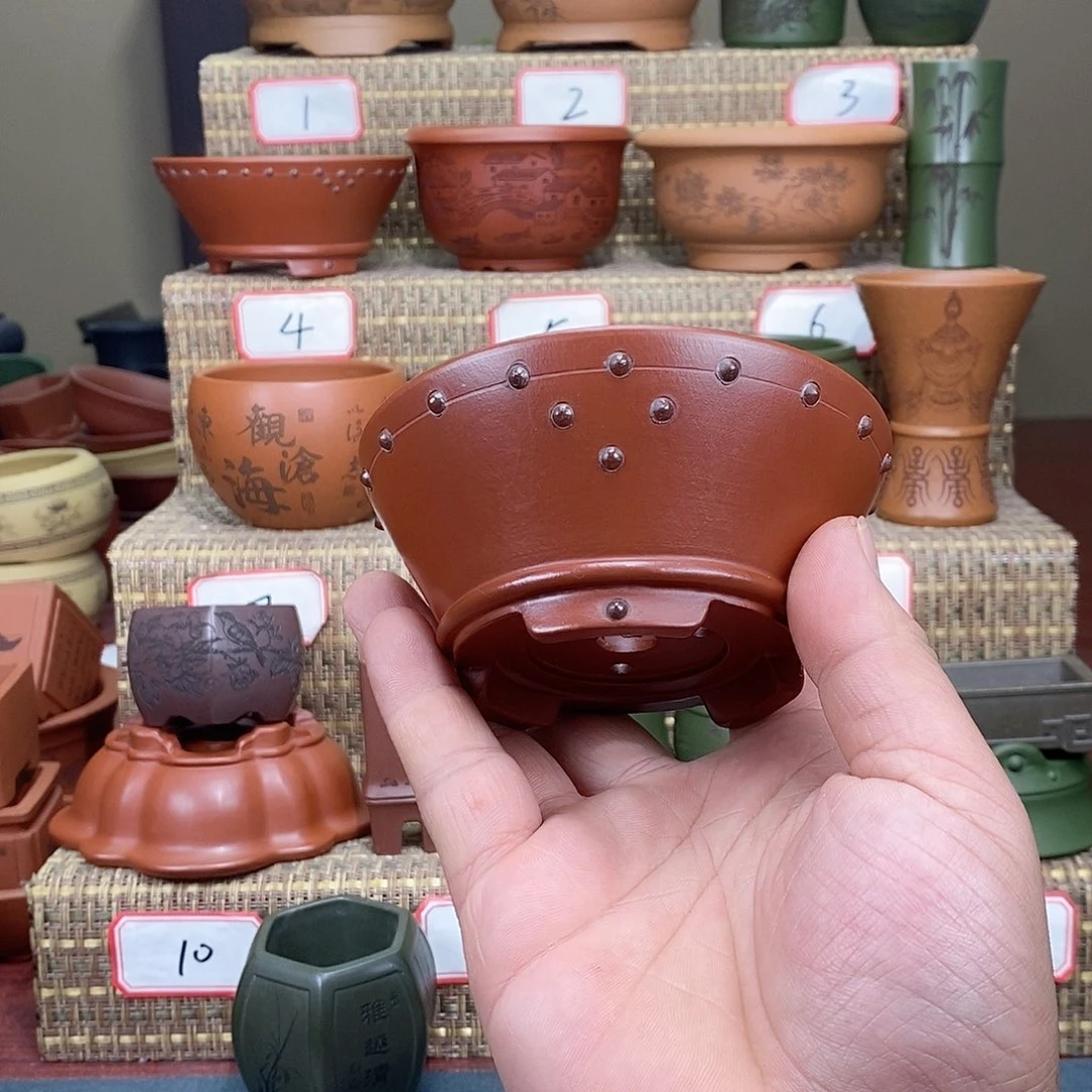 紫砂花盆我在等一