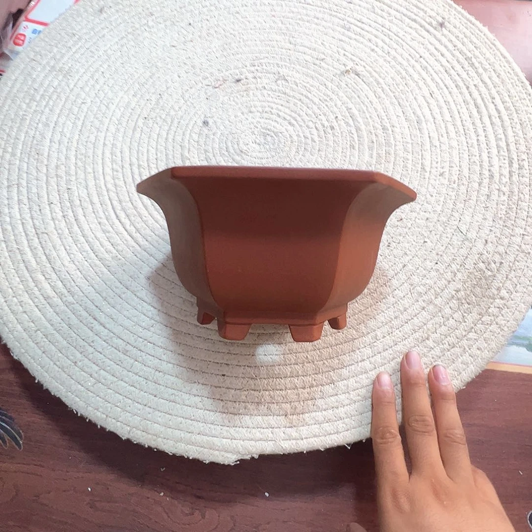 紫砂其他紫砂花盆