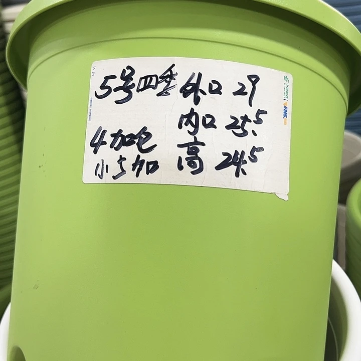 特价5号口29高24.5白色5只无托