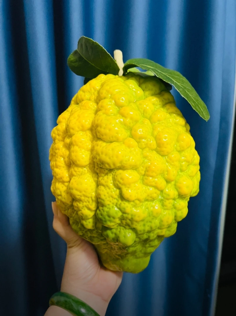 云南大理高山精品香橼闻香摆件礼佛食用新鲜采摘基地直发香橼佛手