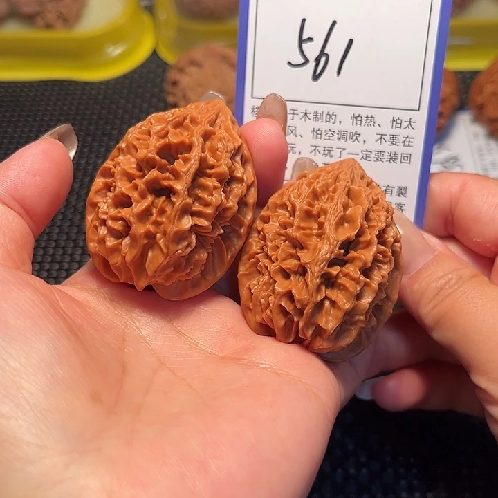 核桃561号招财鼠39