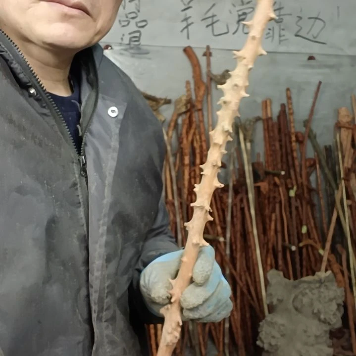 稳定木莲****心贵州檬子木   铁马鞭   根艺  半成品