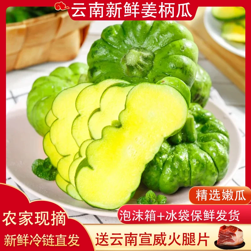 新鲜姜柄瓜小麦瓜嫩南瓜清甜小绿瓜云南特产新鲜蔬菜批发包邮