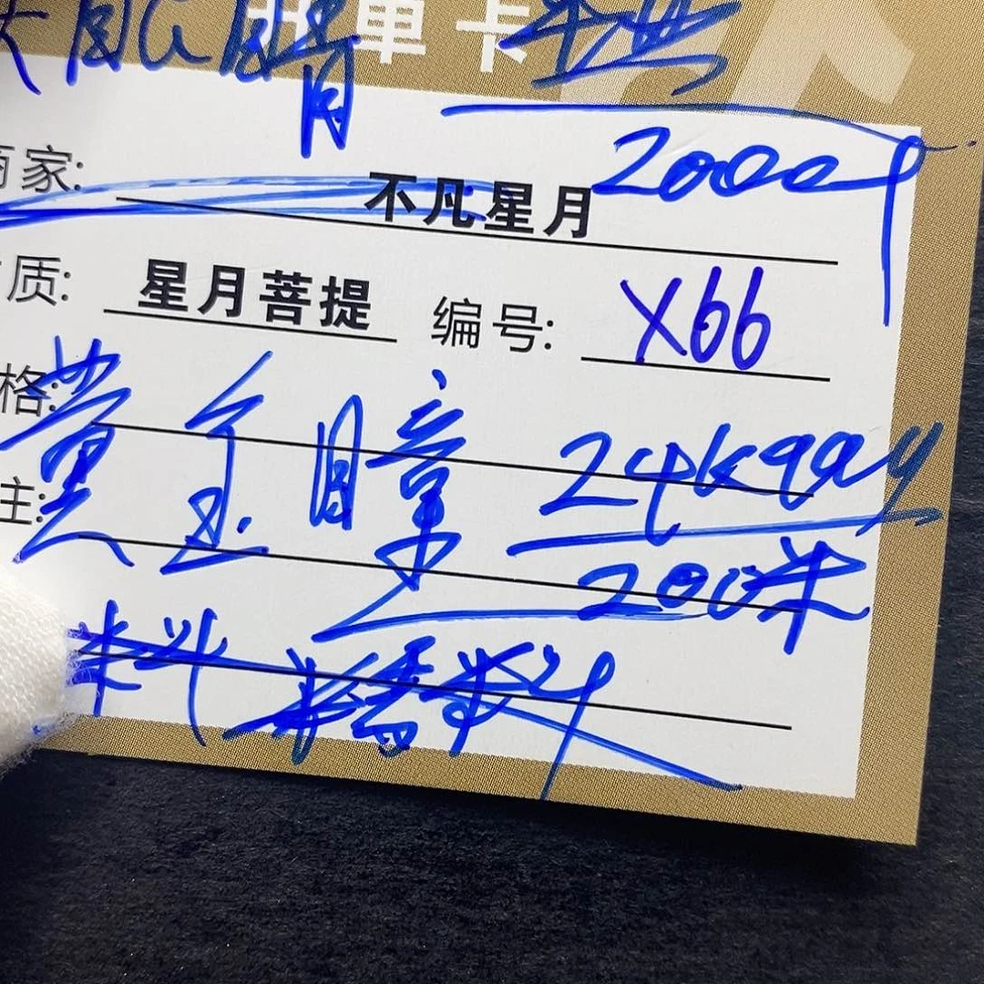 星月菩提吊坠iiiiiiix66