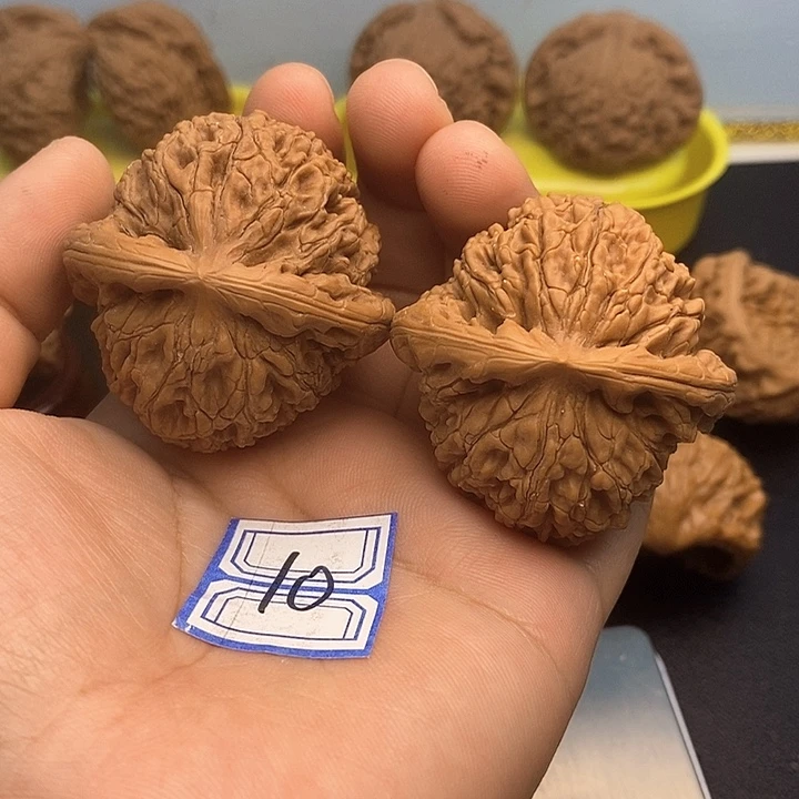 把件文玩核桃44.5水龙纹