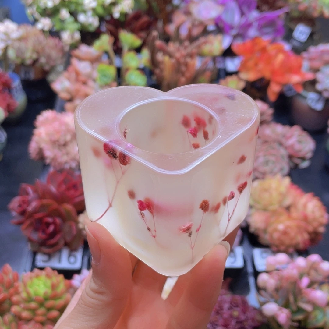 花钱花钱花钱花钱花钱