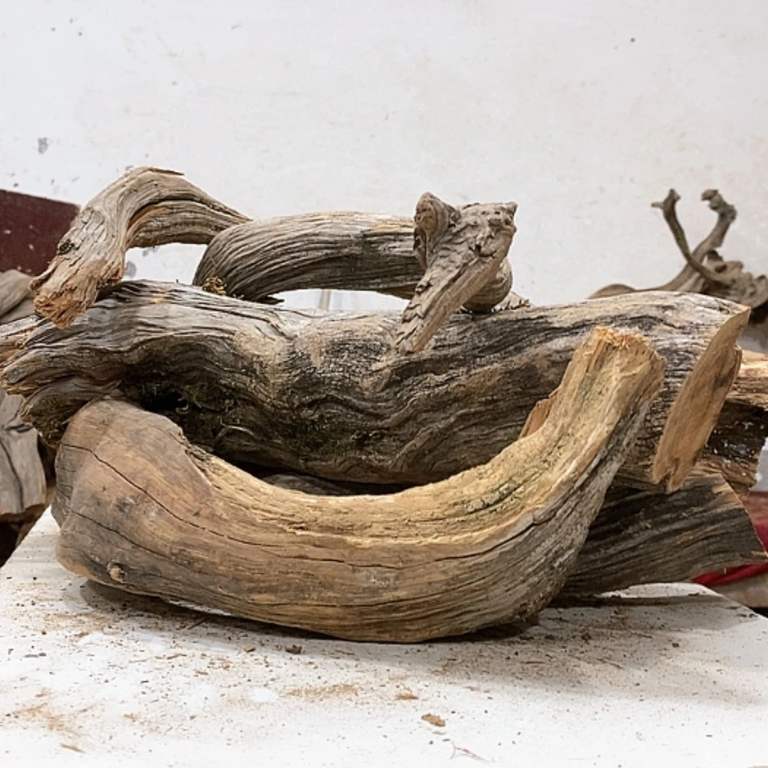 【闪购商品】柏木光**错我们都是好孩子