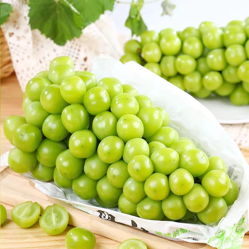 【顺丰包邮】阳光玫瑰葡萄青提鲜甜多汁新鲜应季水果