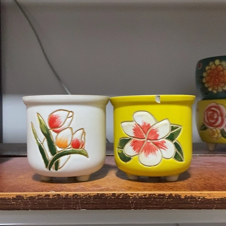 韩式多肉植物花盆