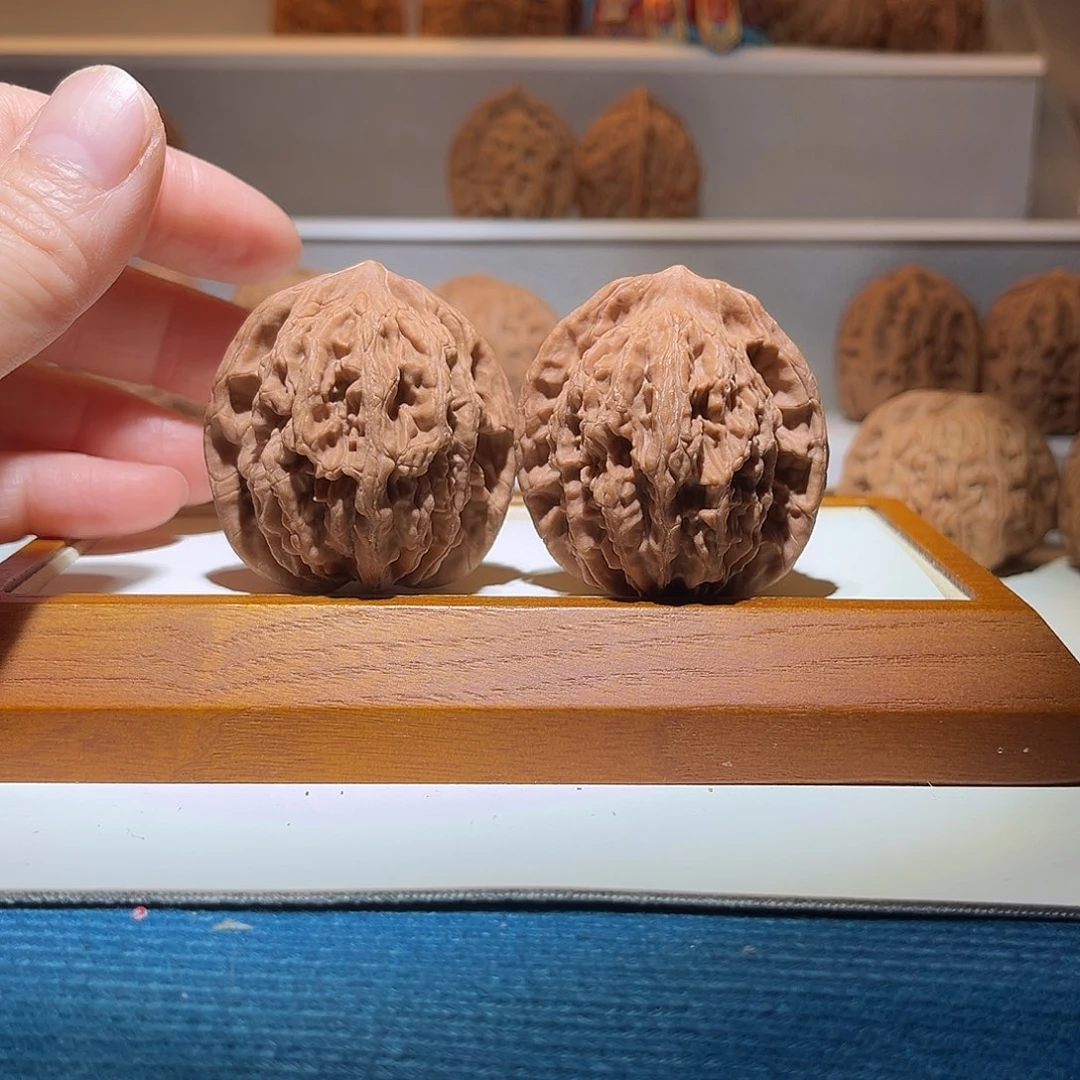 42麦虎虎头，粗筋厚棱……