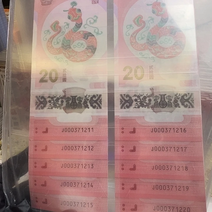 塑料2025年蛇年纪念钞