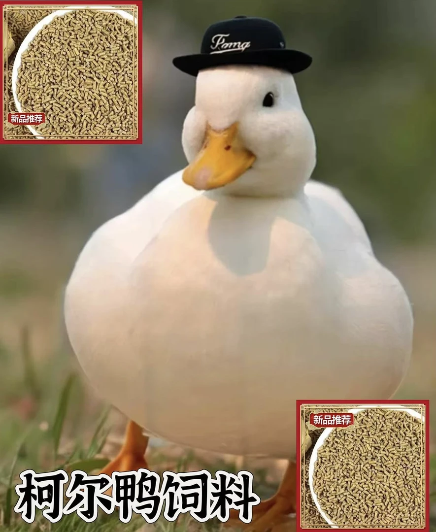 欣欣的农场产蛋期鸭预混饲料 高产型饲料