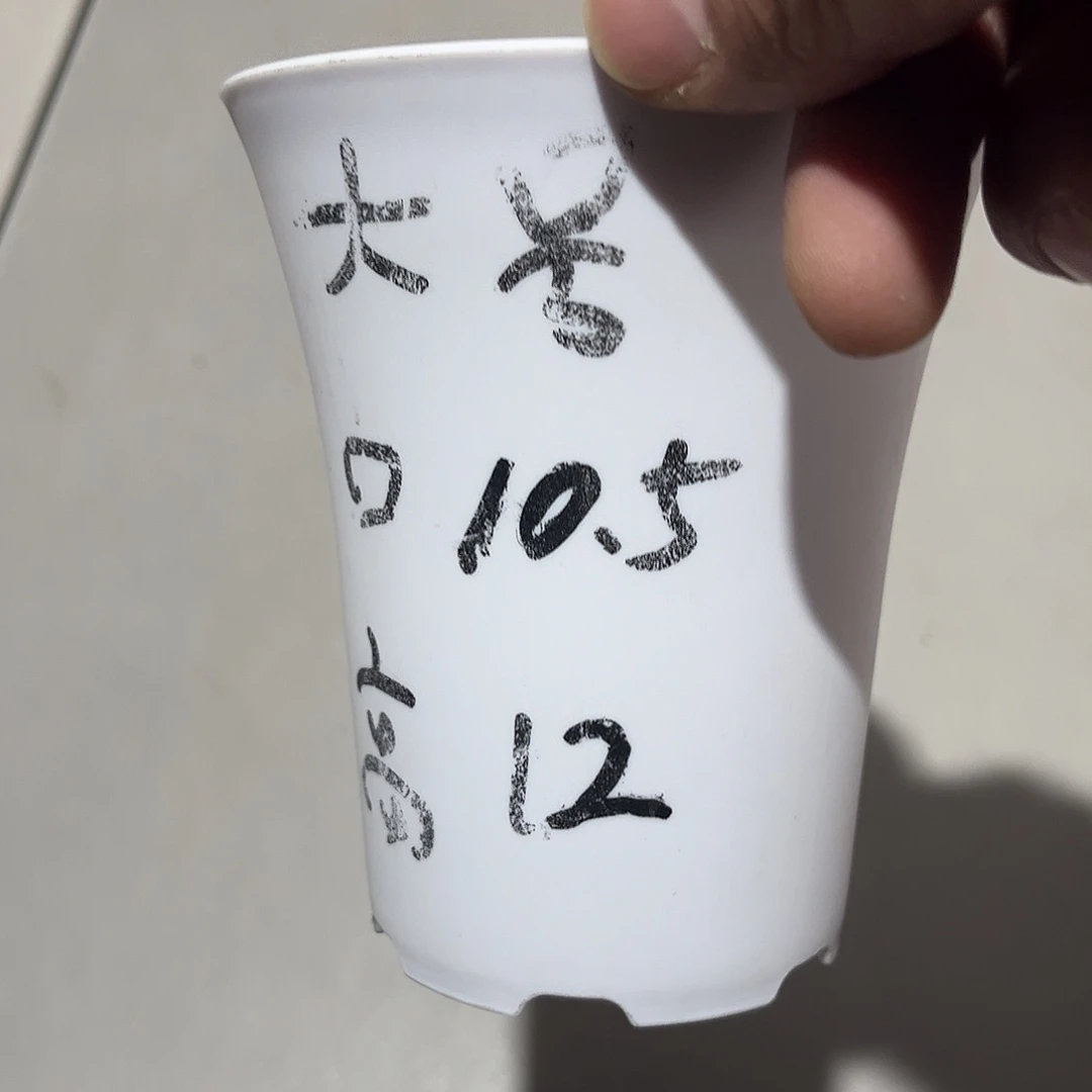 加厚圆万象口10高12白盆15个无托