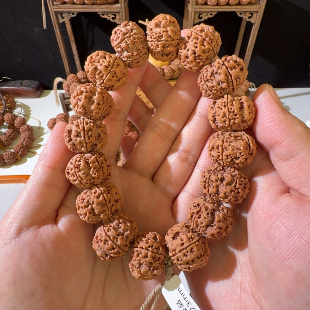 金刚菩提手串23尺寸原生态