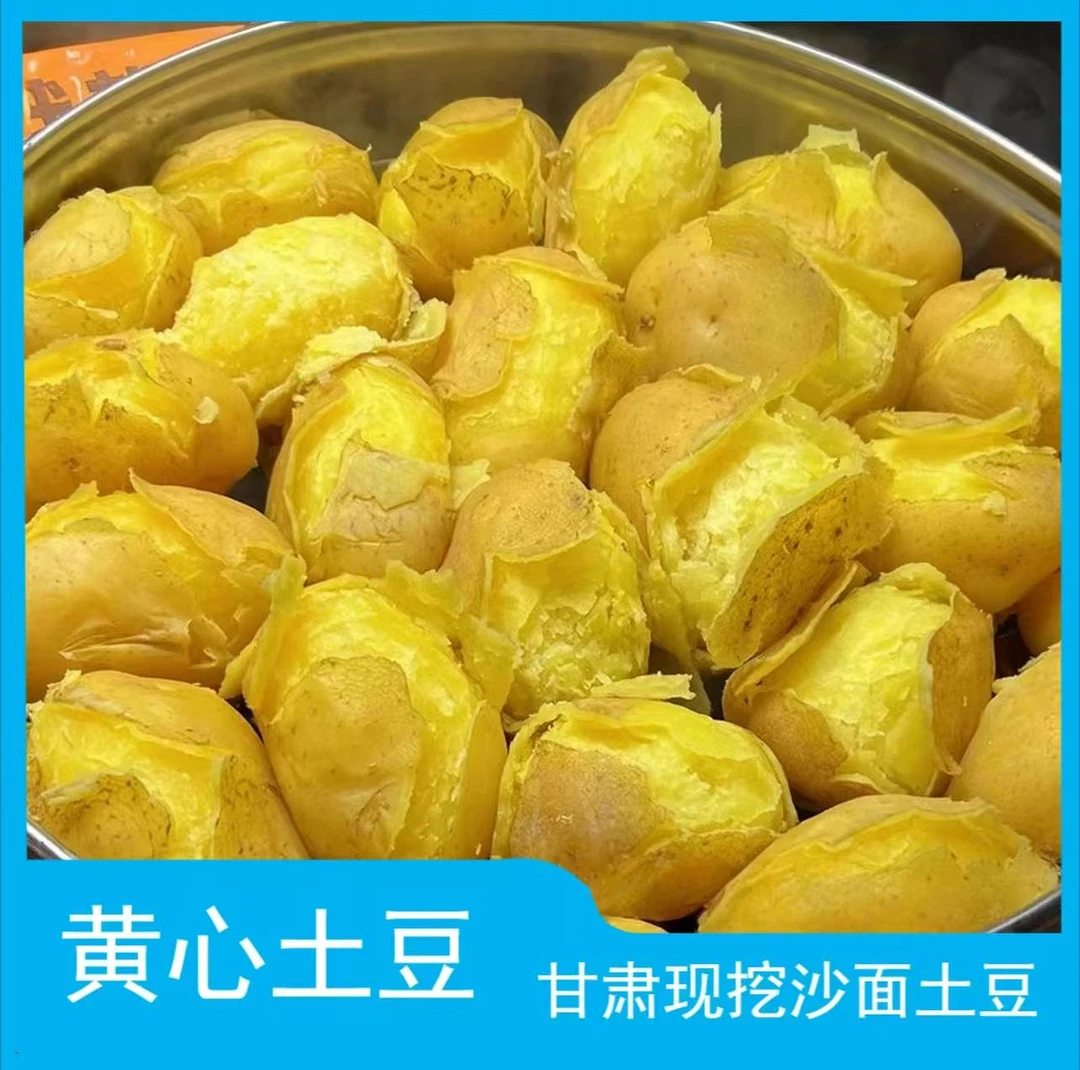 黄土高坡甘肃定西黄心土豆，洋芋，马铃薯，5斤/9斤，包邮，坏果包赔