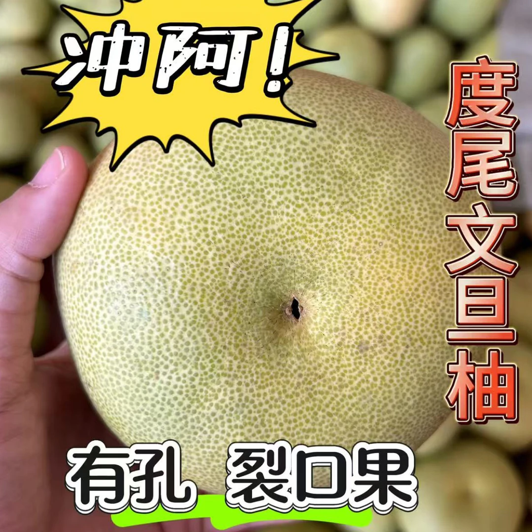 正宗福建度尾文旦柚（孔洞果）新鲜当季水果孕妇应季水分充足