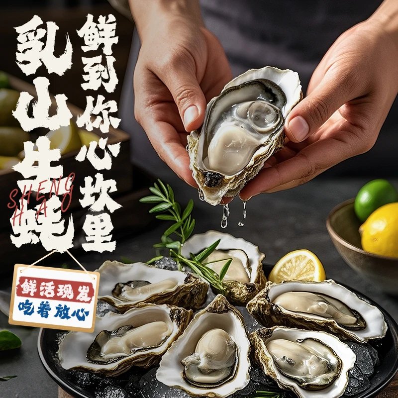 【1斤5-6只】养殖户直发乳山鲜活生蚝大个海鲜水产冷水蚝净重5斤