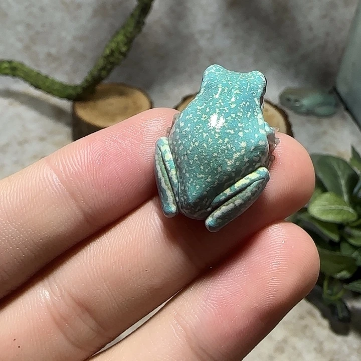 老爷树蛙纯福利价暴雪