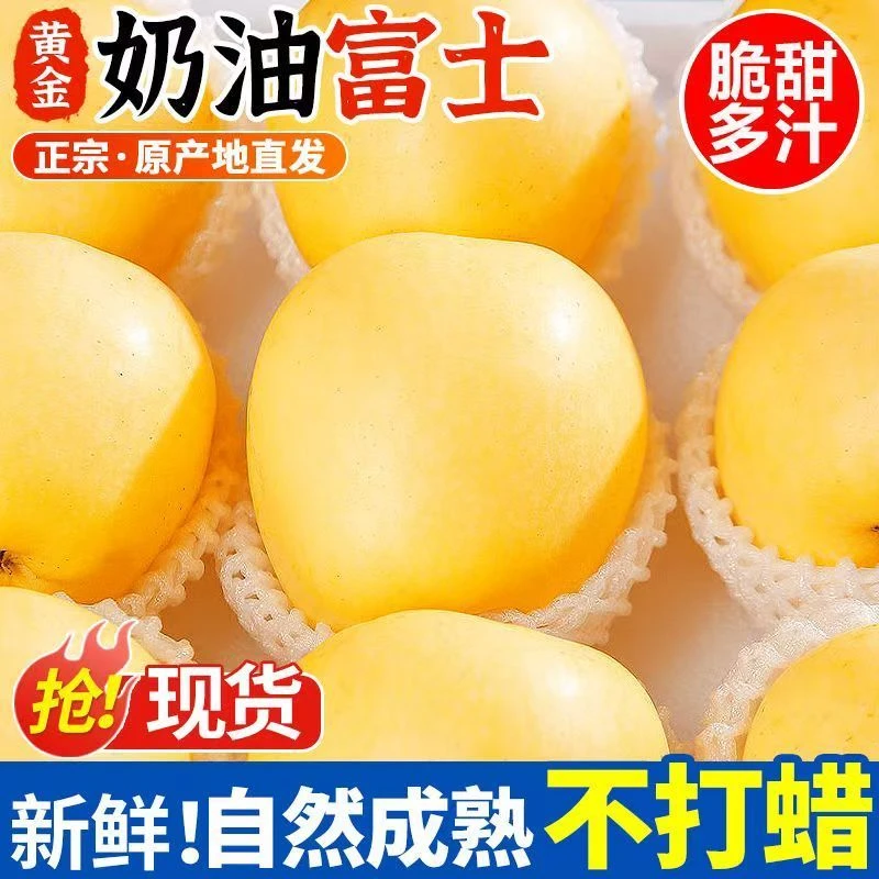 【新果上市】正宗山东烟台奶油富士苹果脆甜应季水果原产地 带箱5斤