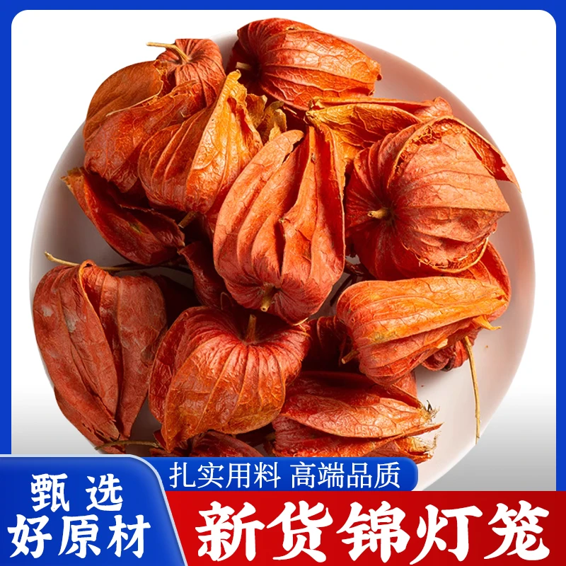 红姑娘正品锦灯笼灯笼花红灯笼灯笼果苦菇娘挂金灯苦姑娘干皮果