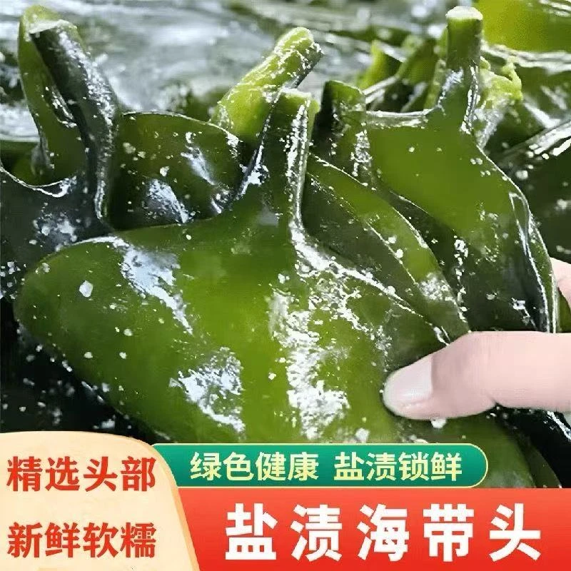 【新店新人厂家福利价】盐渍海带头特厚海带头福建霞浦盐渍海带头
