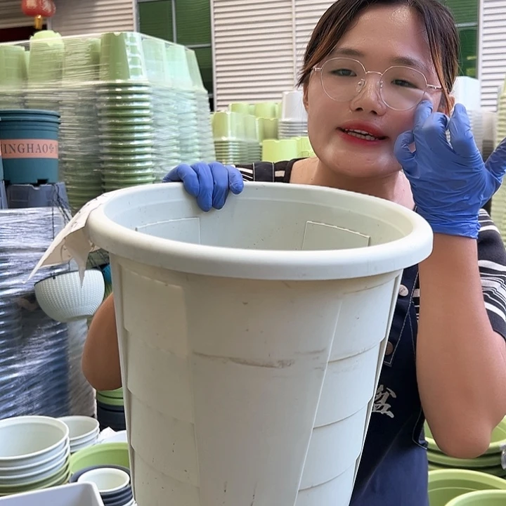 玫瑰盆370米白色4个无托