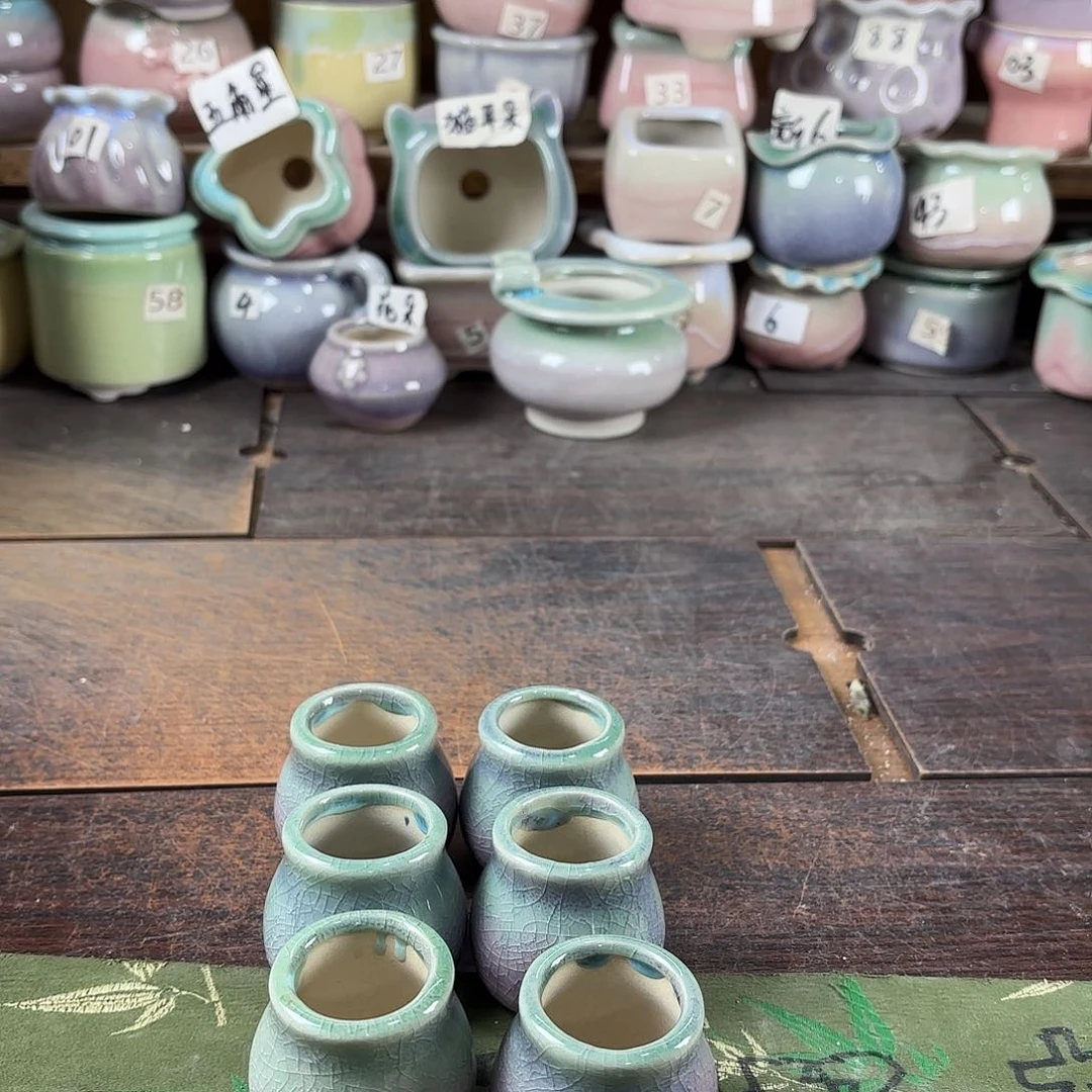 量货/口高深浅搭配发6