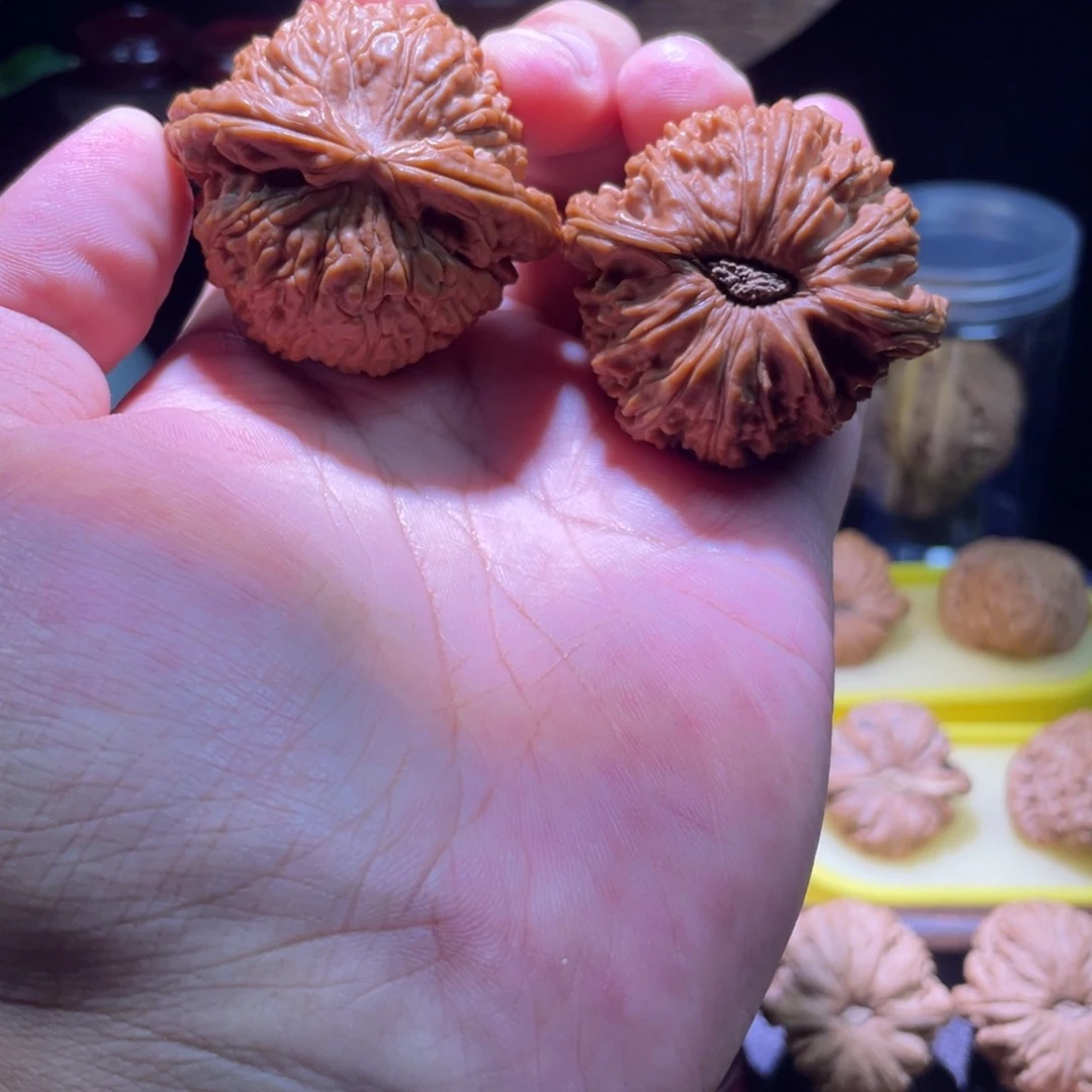 文玩核桃把件48全品大尺寸50g白狮子
