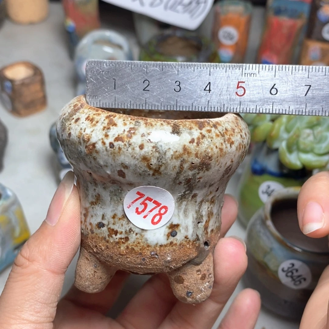 拍5送一个小礼物
