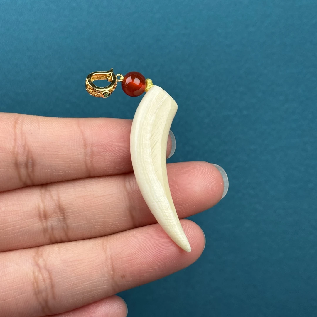 【直播专享8折】B47-19天然猛犸牙 牙尖 42.4mm一物一图支持鉴定