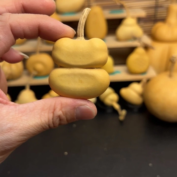 高*葫芦葫芦葫芦葫芦葫芦