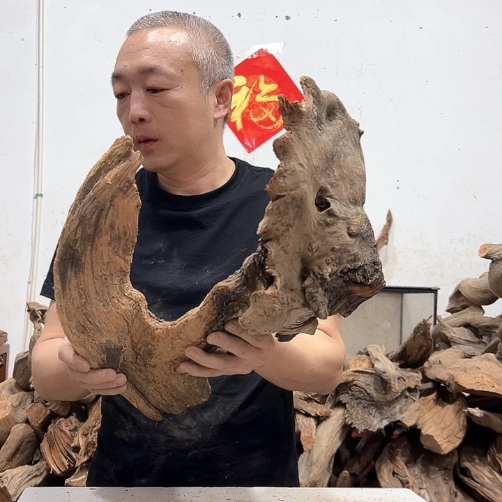 柏木千***木我们都是好孩子呀我也是