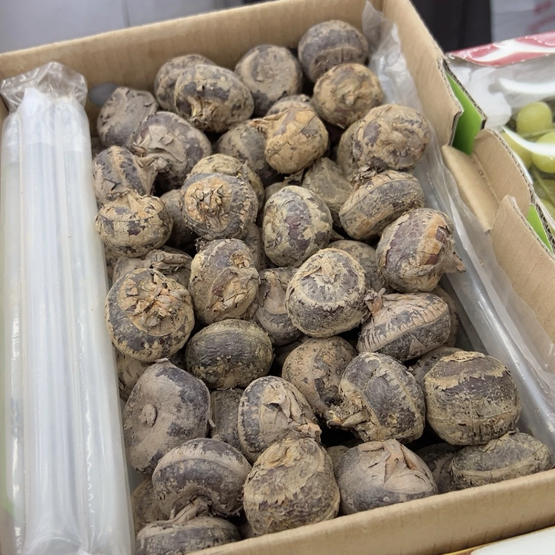 荔浦马蹄。一斤