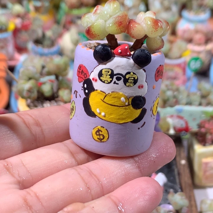 盆内口2.5 不带肉