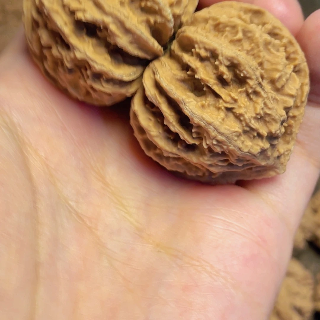 桃核把件5 秦岭野生小众灯笼