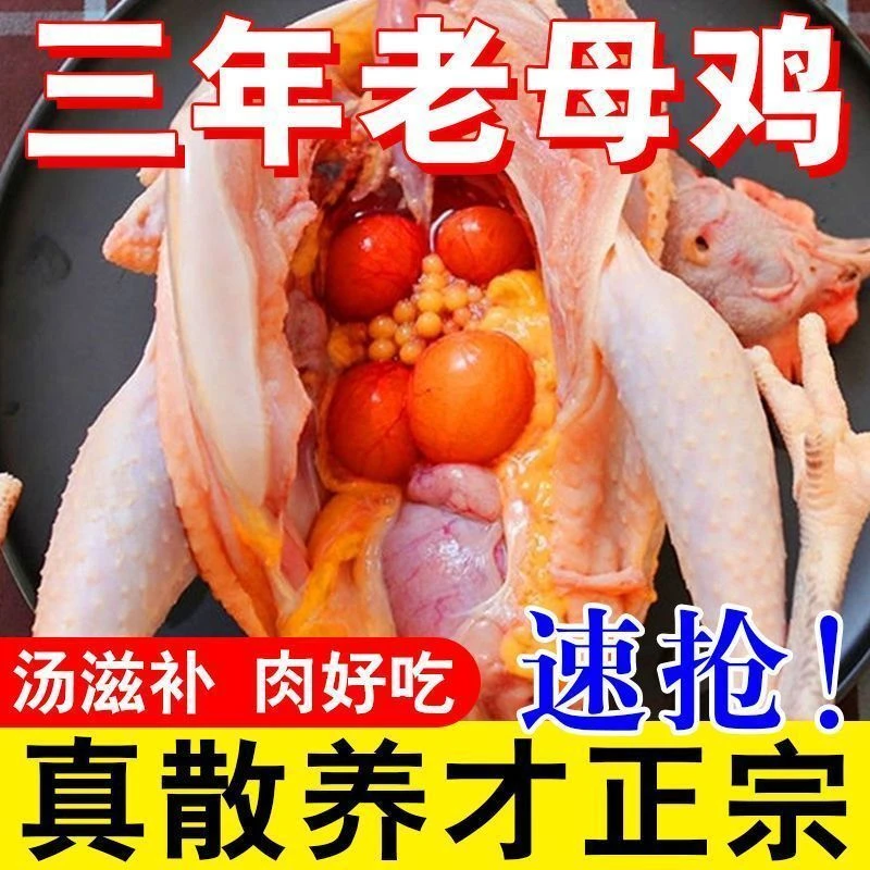 三年黄油老母鸡【买2送2】散养黄油老母鸡带鸡胗鸡心蛋花真空顺丰