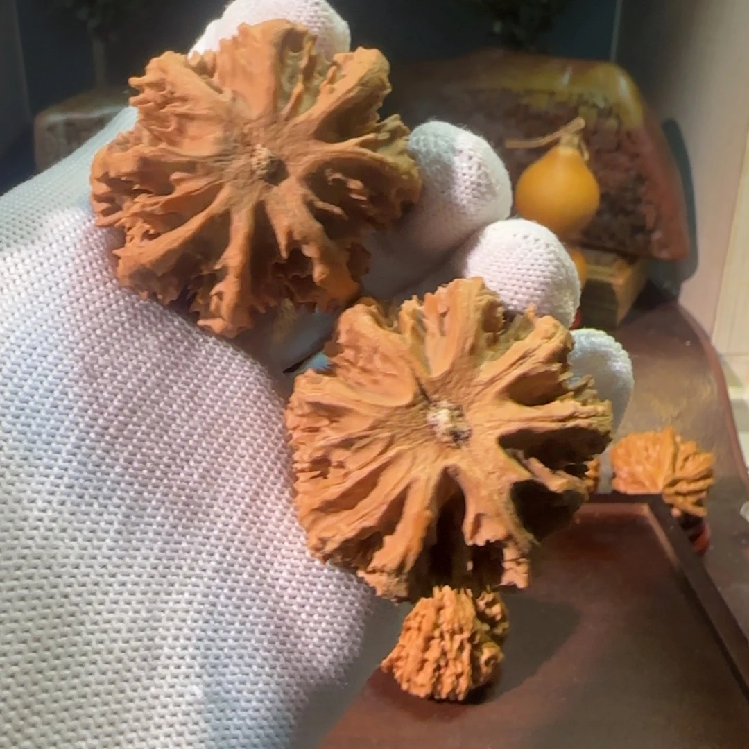 文玩核桃把件秦岭灯笼