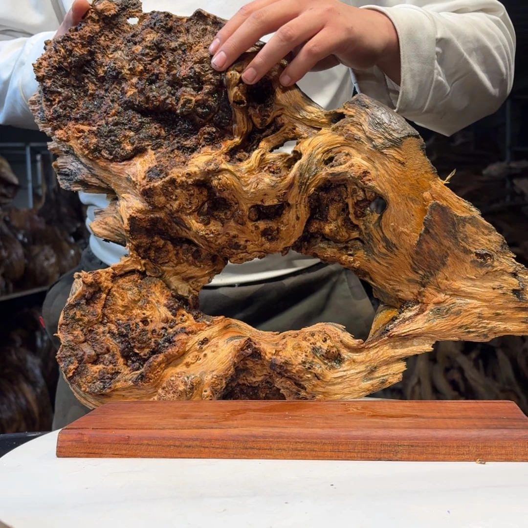 追***逐木猛子琥珀木摆件c02