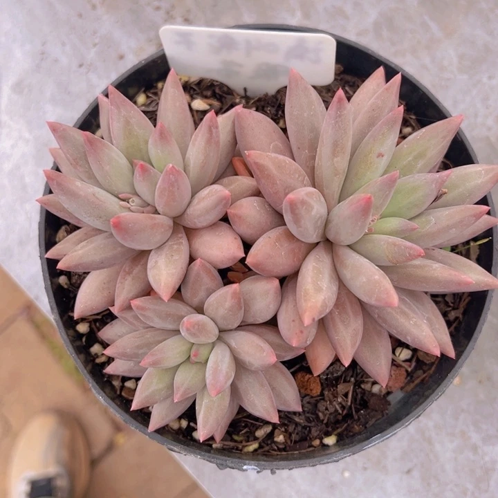 健健康康平平安安