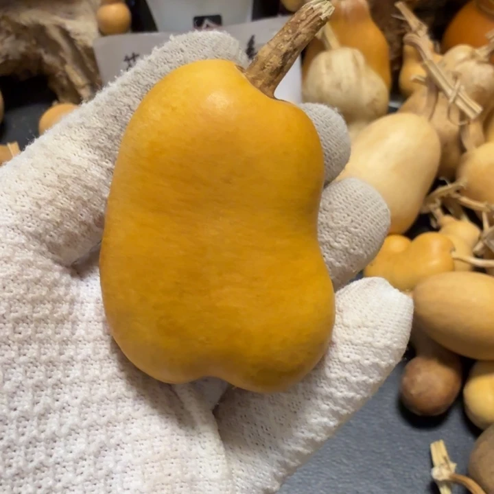 1***道6666677777777777888