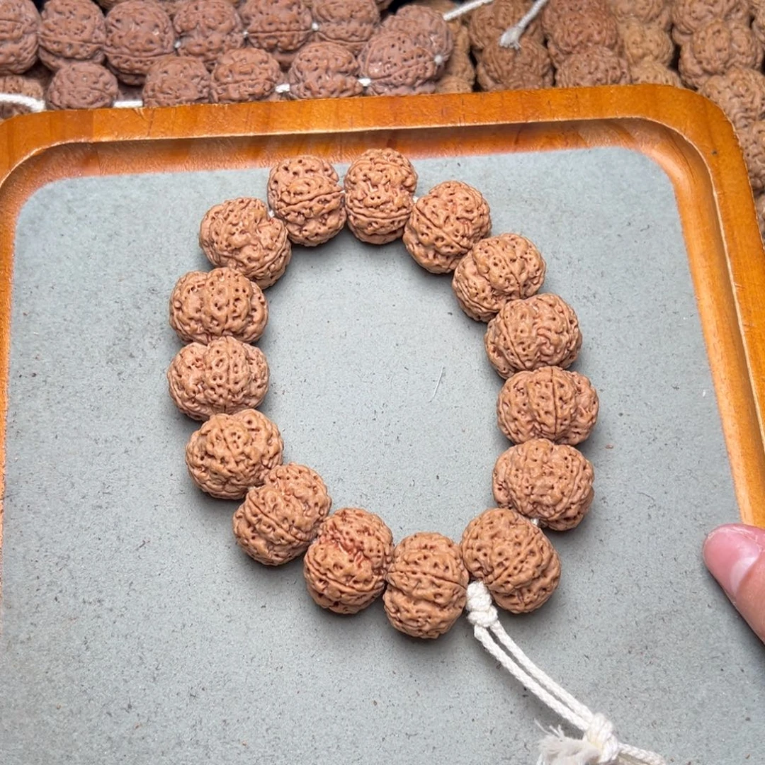 菩提24号金刚菩提梅花梁23