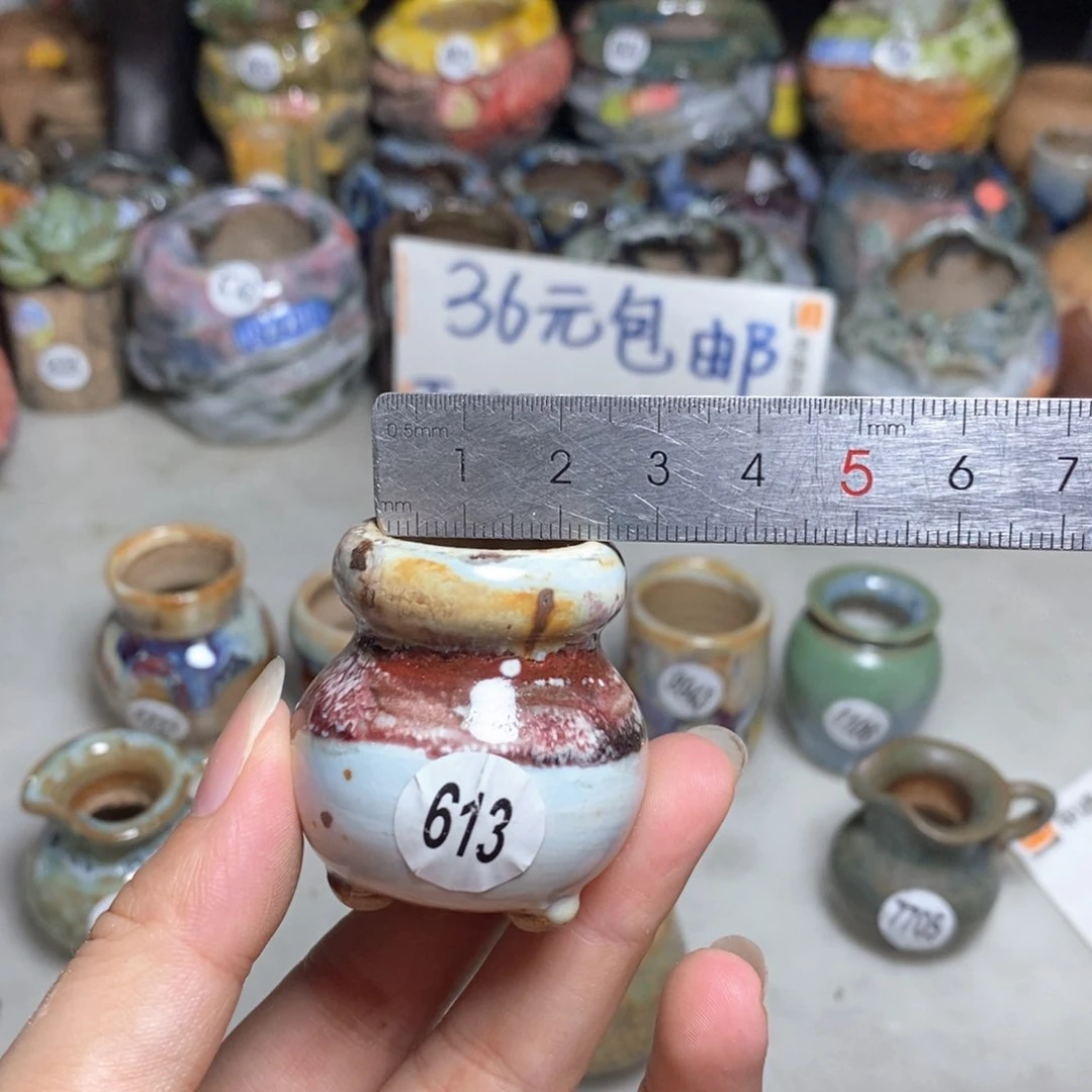 拍5送一个小礼物