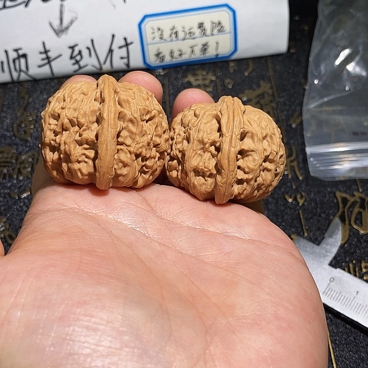 核桃手串/手链兜***糖37尺白狮子