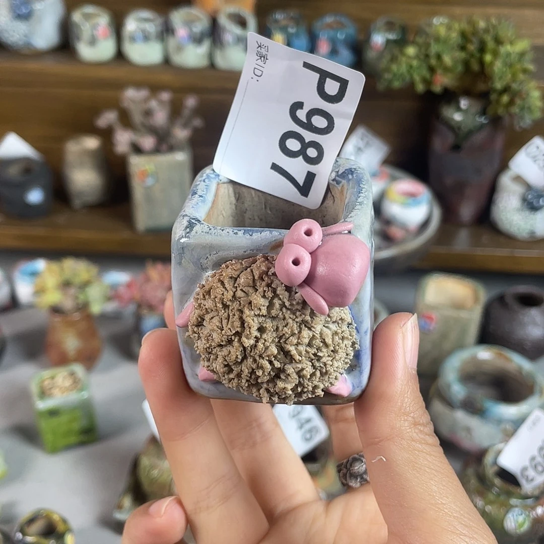 小白孤品 立体小羊 内口3.2左右 百搭