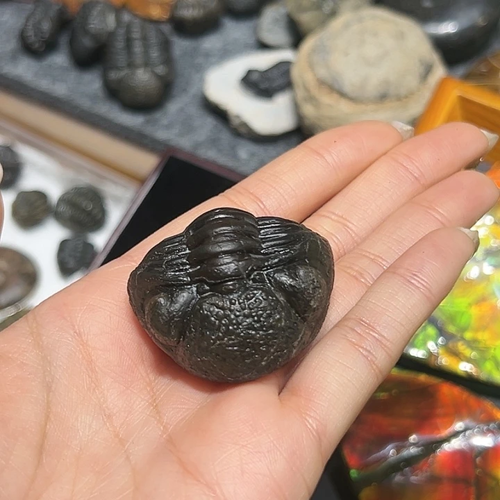 好***馆精品系列产品摆件257890