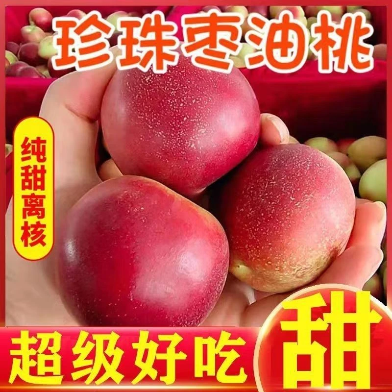 陕西珍珠枣油桃离核油桃脆甜现摘现发